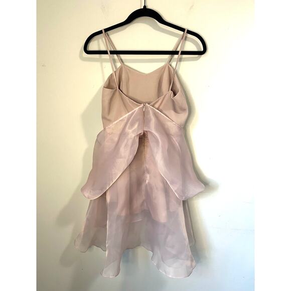 Touchup Ateliere Organza Mini Dress Blush Pink Tulle Romantic Ballerinacore sz S - Picture 2 of 6